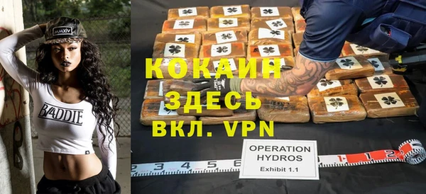 крисы Баксан