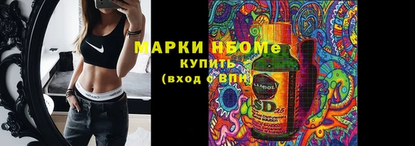 прущие грибы Армянск