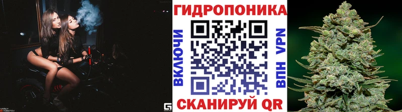 Конопля гибрид  купить наркотики сайты  Лянтор 